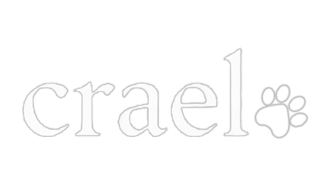 Craelo Logotype White